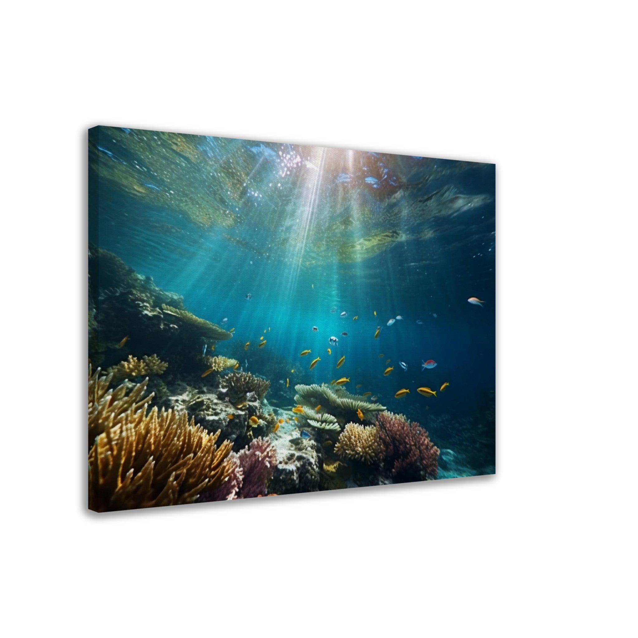 Dive into deep coral reef - immersiarts