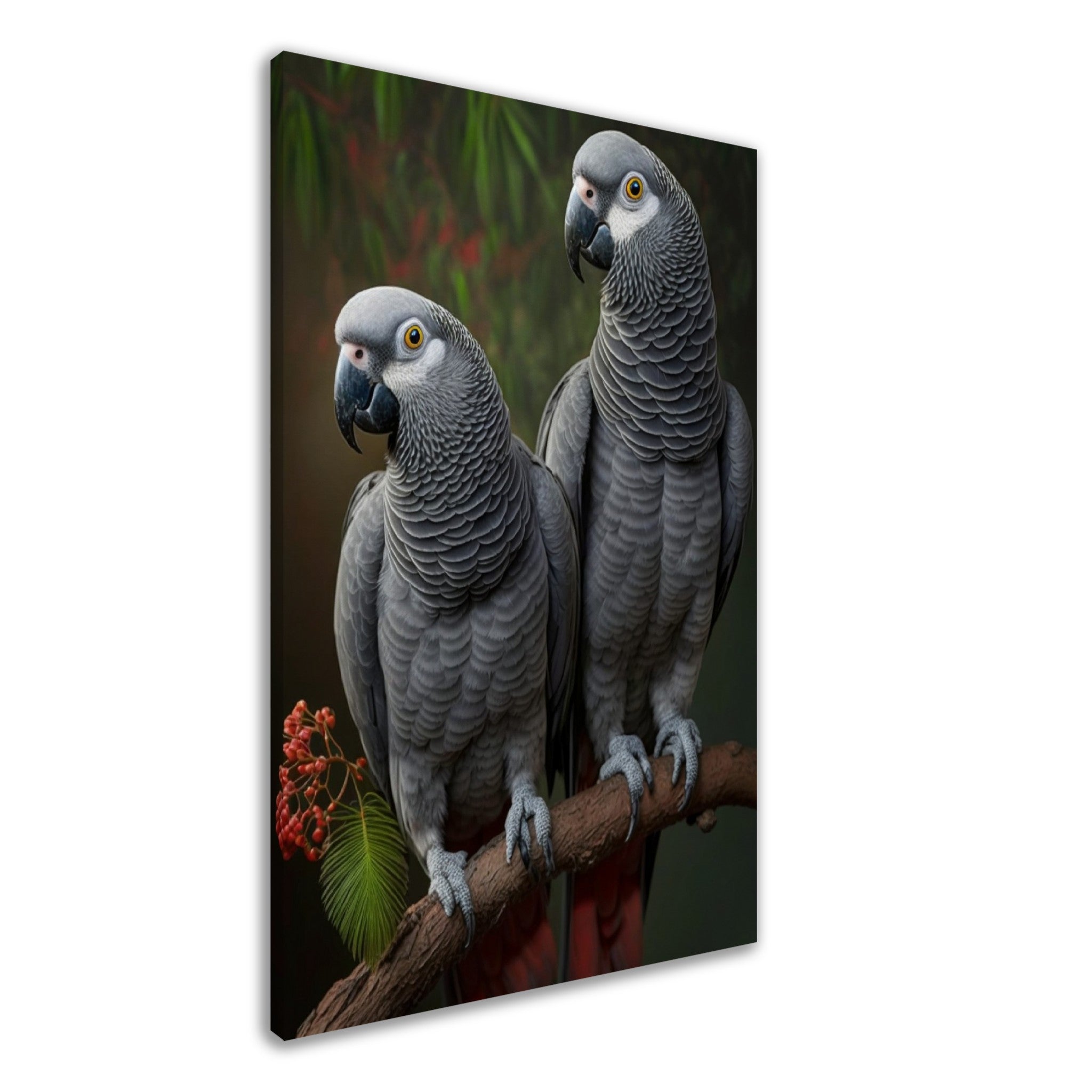 Two African Grey Parrots - immersiarts