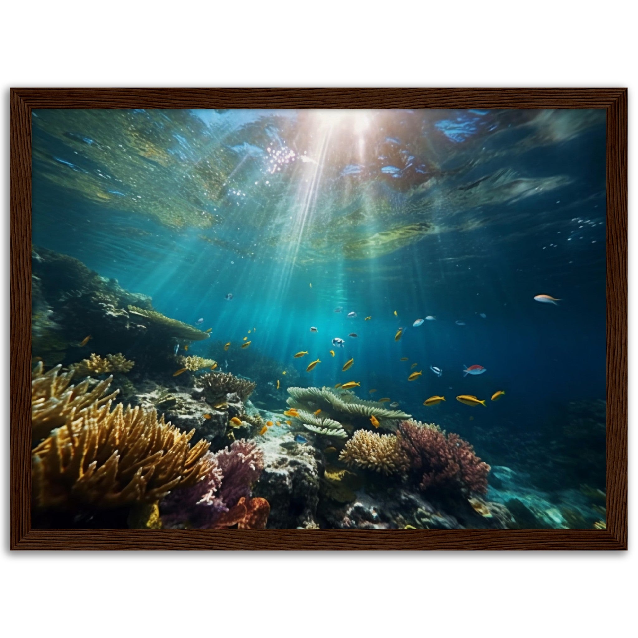 Dive into deep coral reef - immersiarts