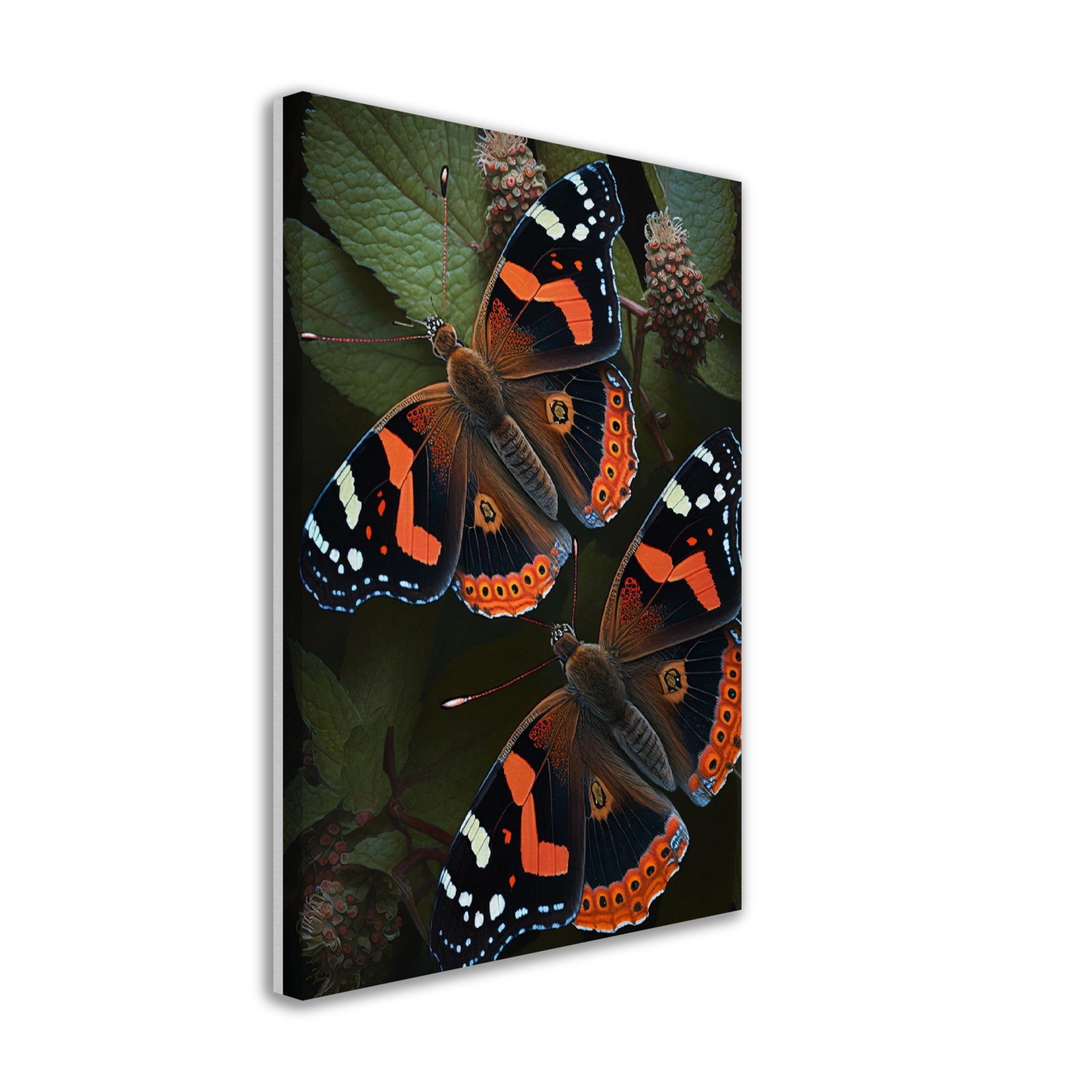 Two Admiral Butterflies On Canvas - immersiarts