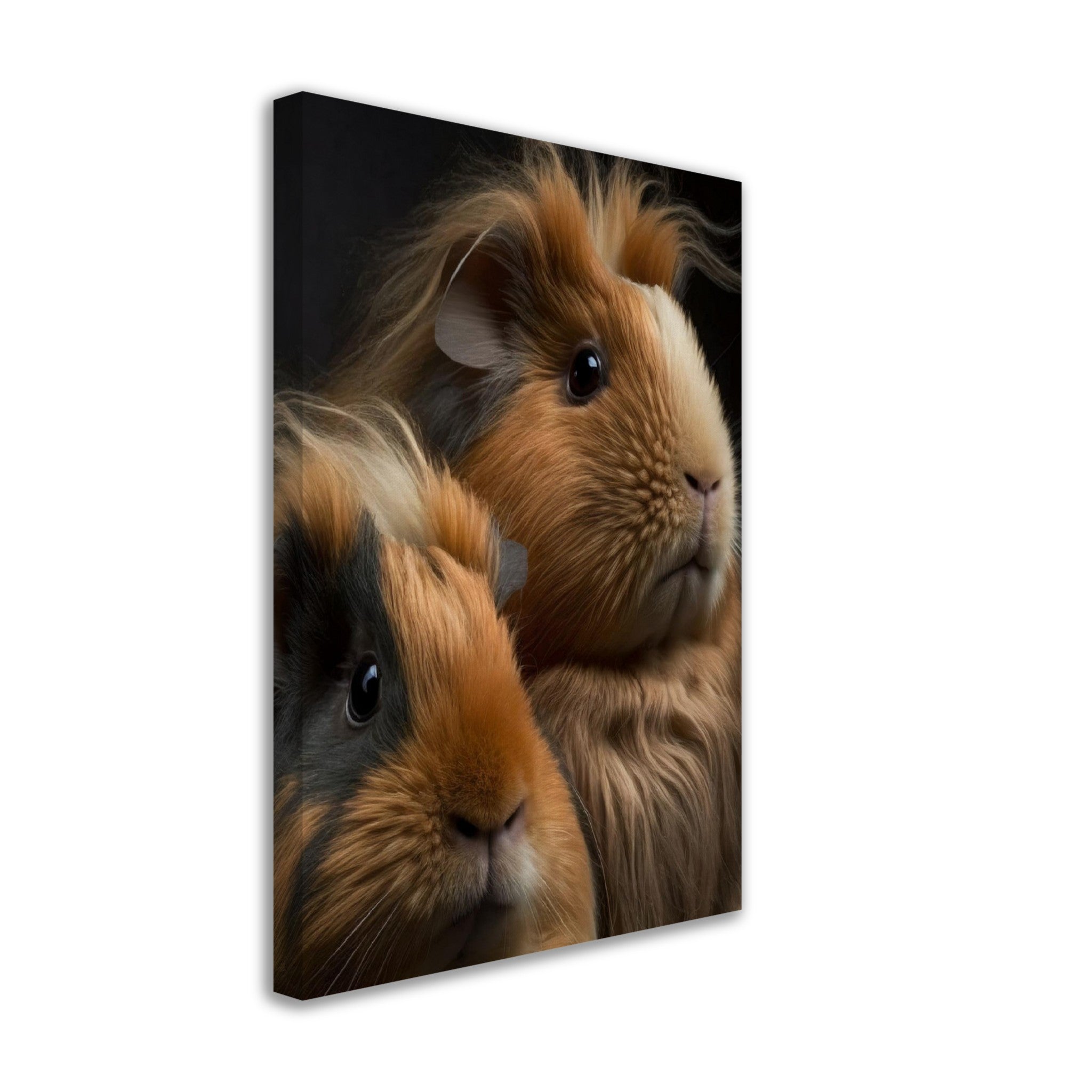 Two Abyssinian Guinea Pigs on Canvas - immersiarts