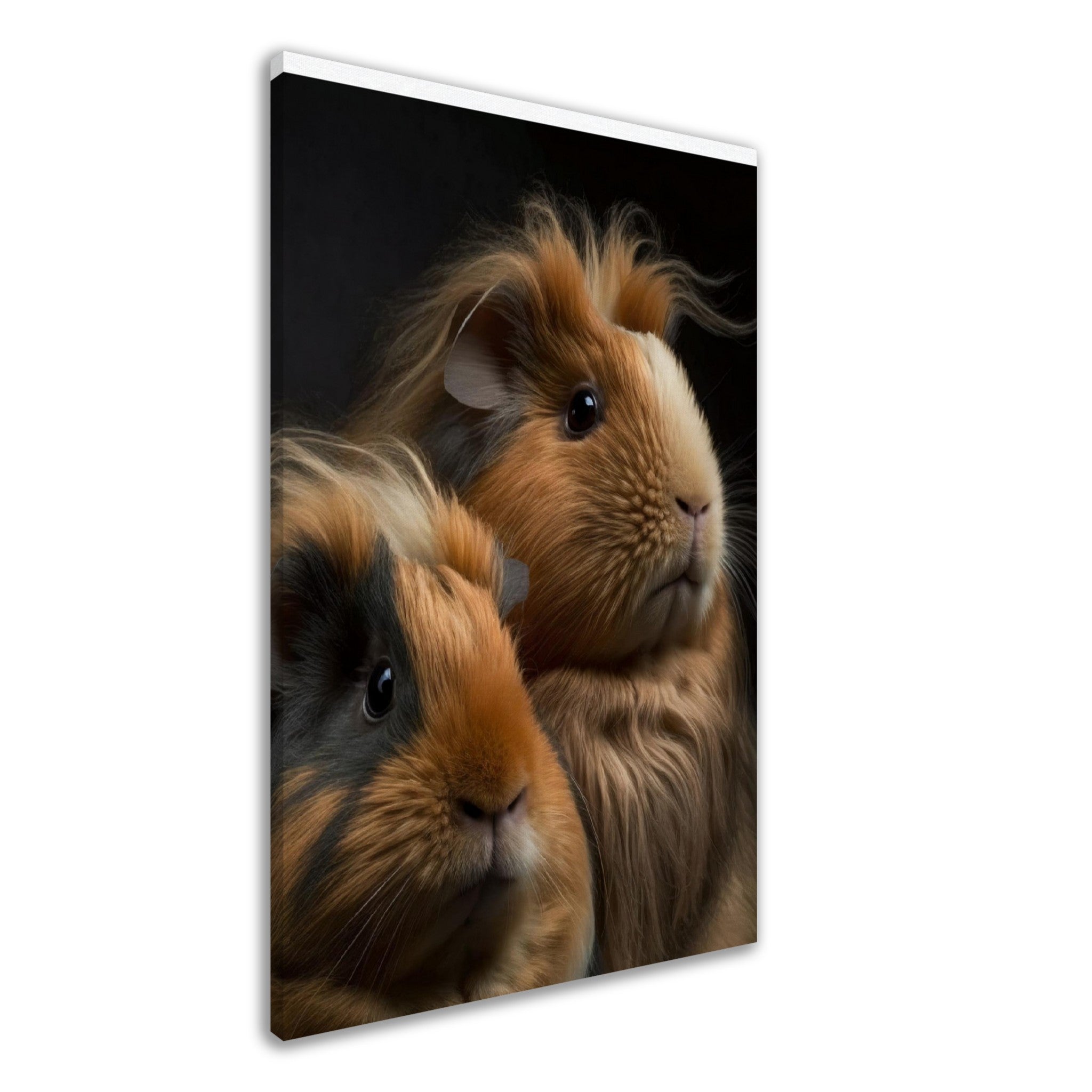 Two Abyssinian Guinea Pigs on Canvas - immersiarts